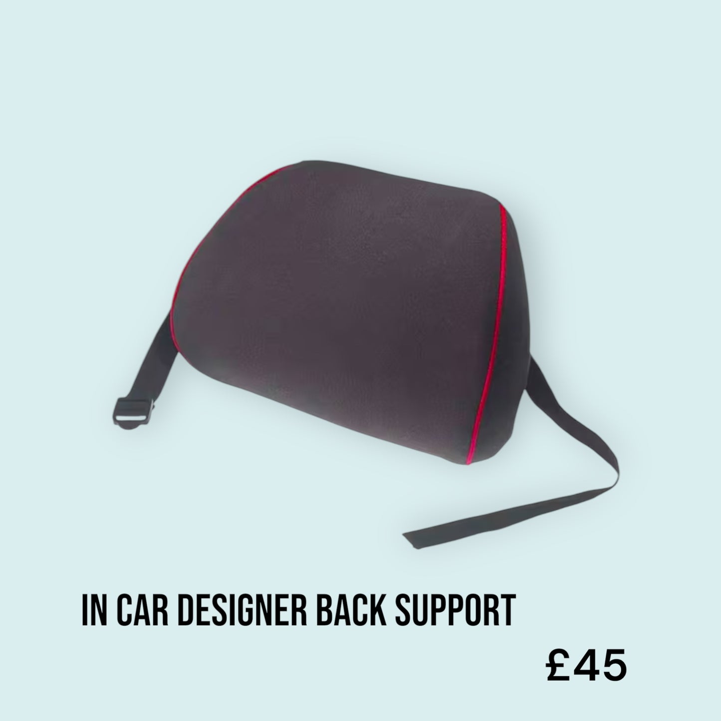 In Car Back Support